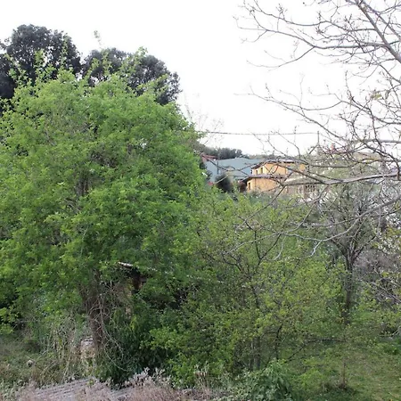 Cal General Apartment *